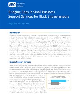 	Bridging Gaps in Small Business Support Services  for Black Entrepreneurs 